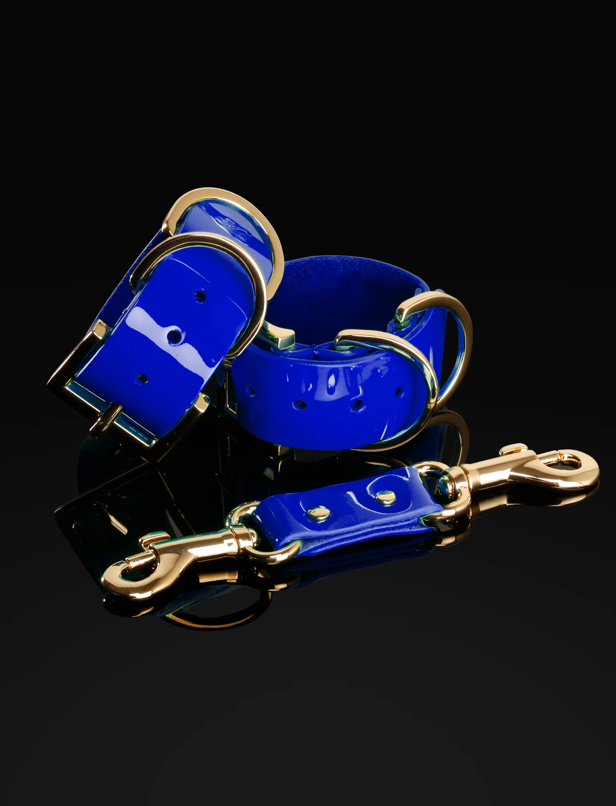 Electric Blue Bondage Set - Image 2